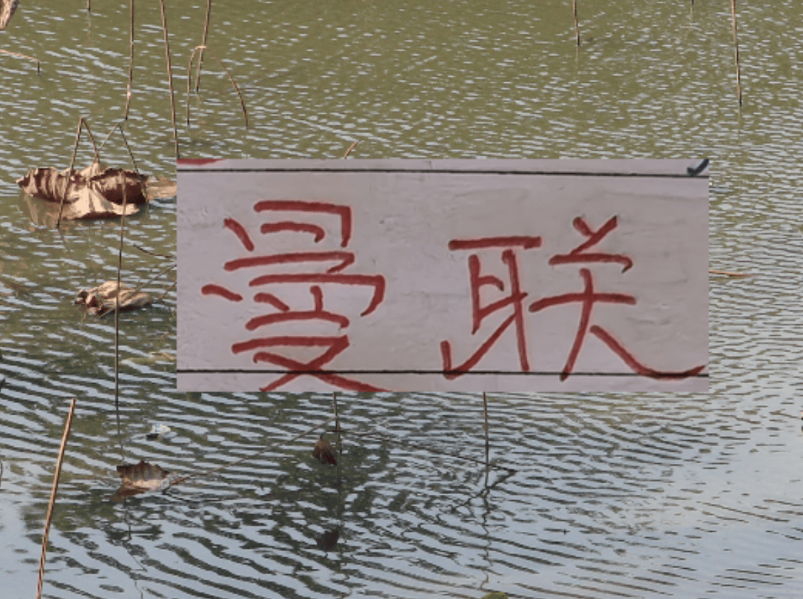 有排面！U23国足上了《新闻联播》 曼联B费再次入选英超单轮MVP